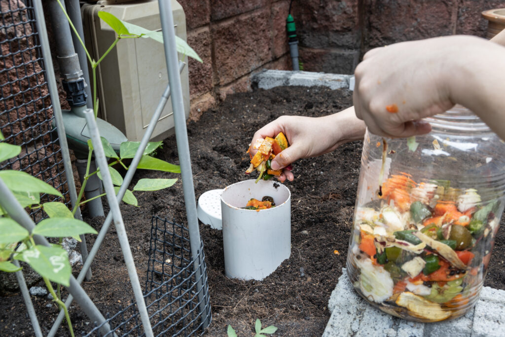 biodigestores