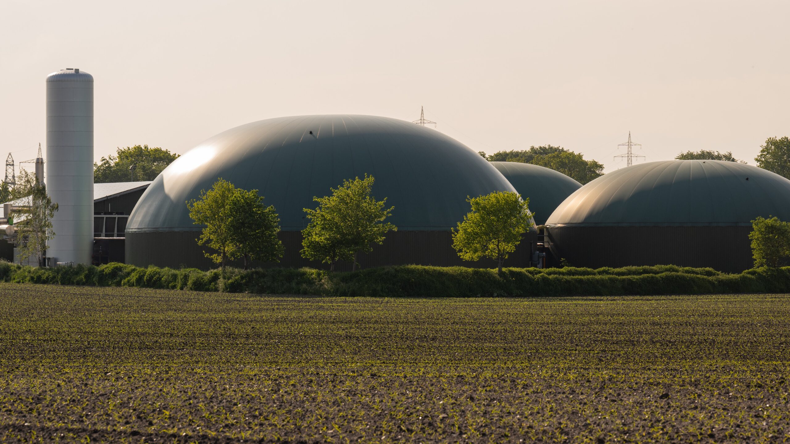 biodigestores