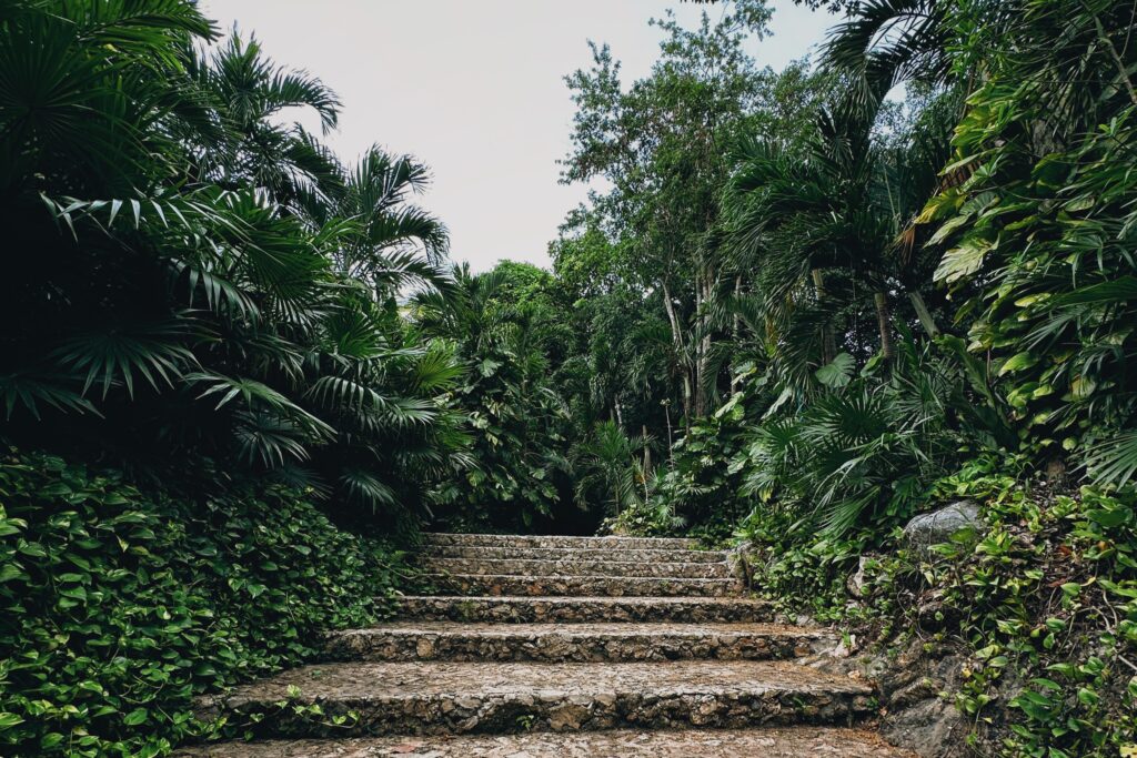 Inversión inmobiliaria en Tulum