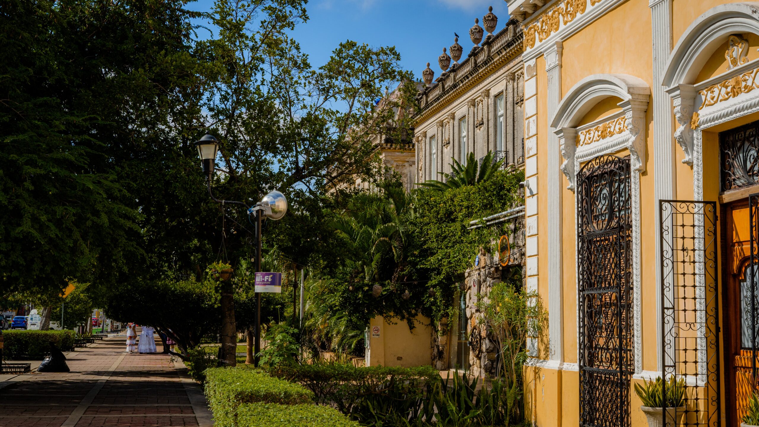 sector inmobiliario en Yucatán