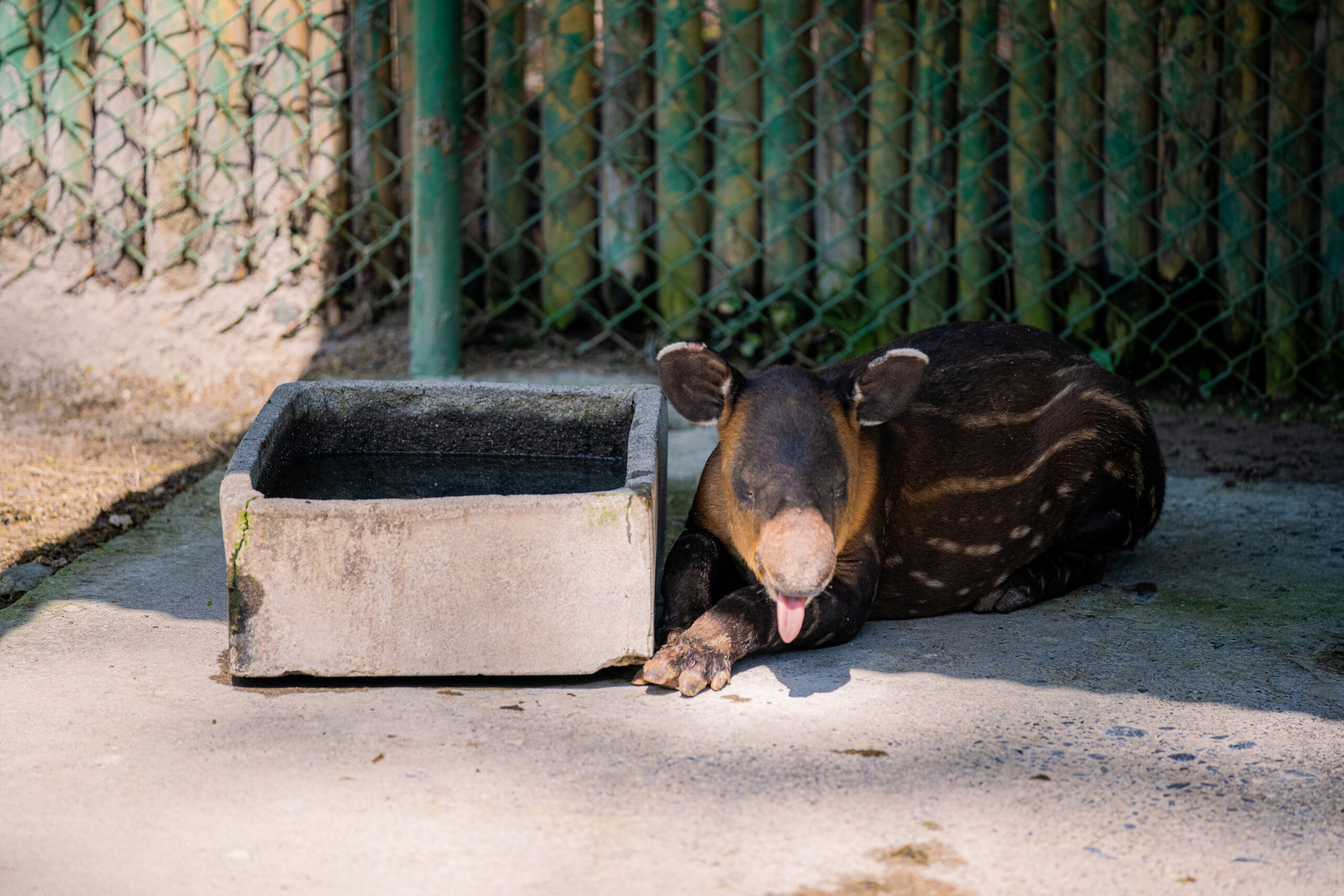 santuarios naturales