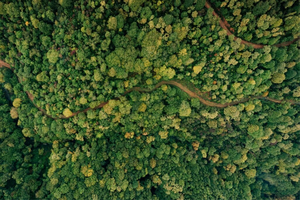 santuarios naturales
