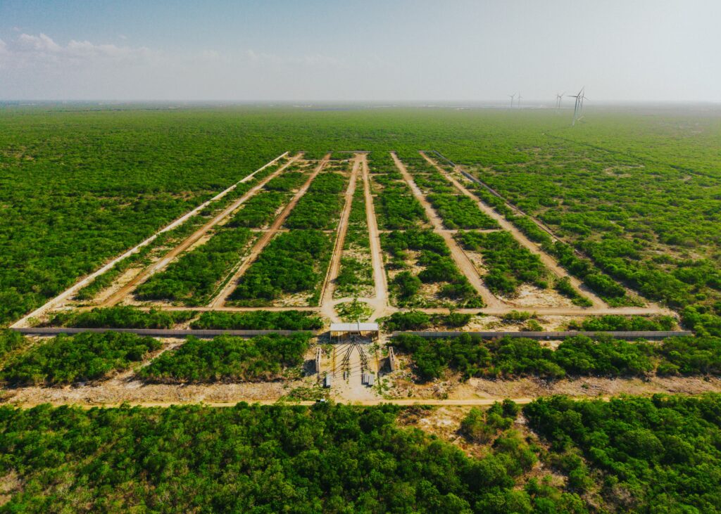 Fraudes inmobiliarios en Yucatán