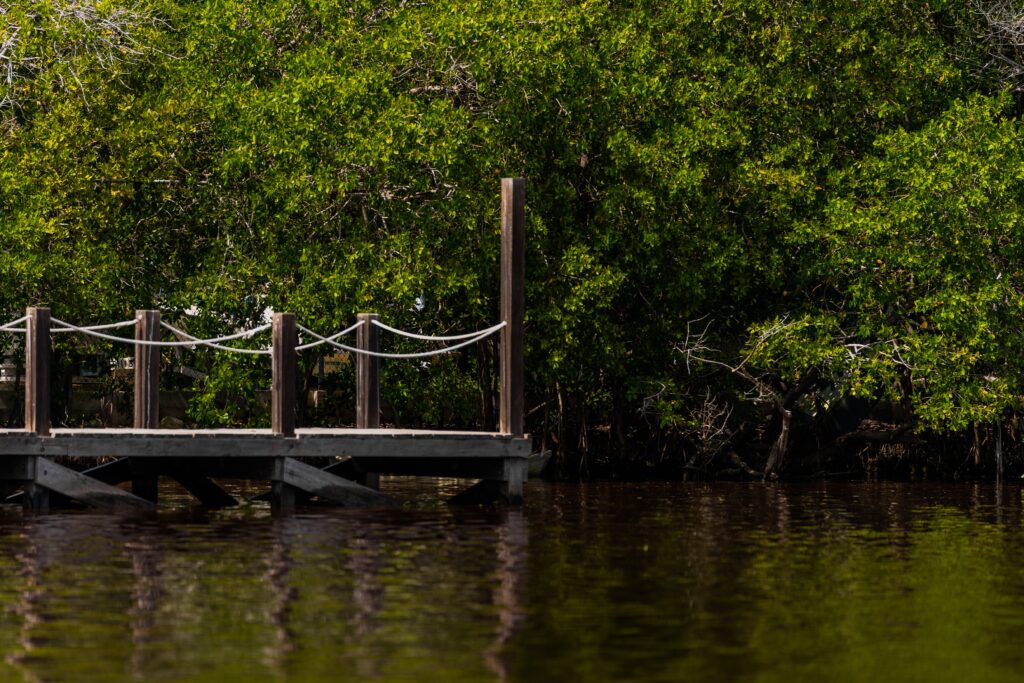manglares y playas del sureste