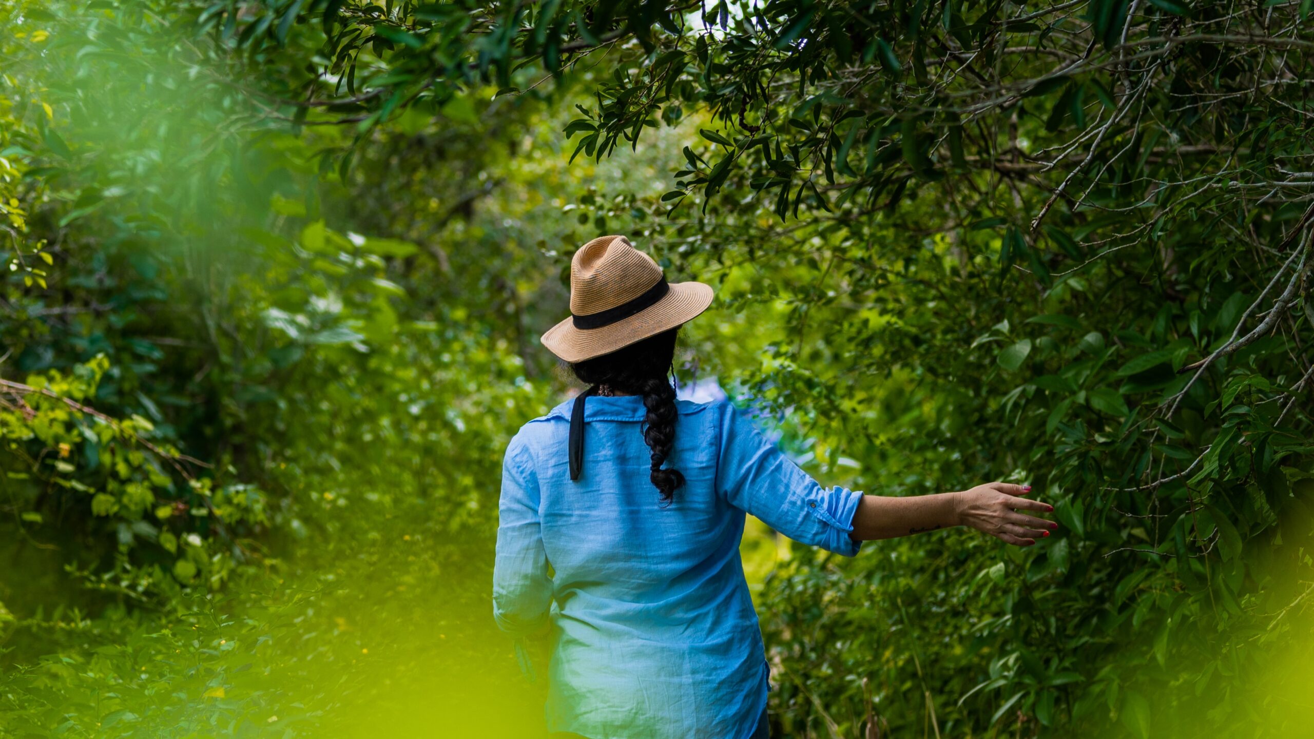 manglares y playas del sureste