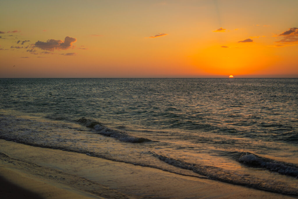 manglares y playas del sureste