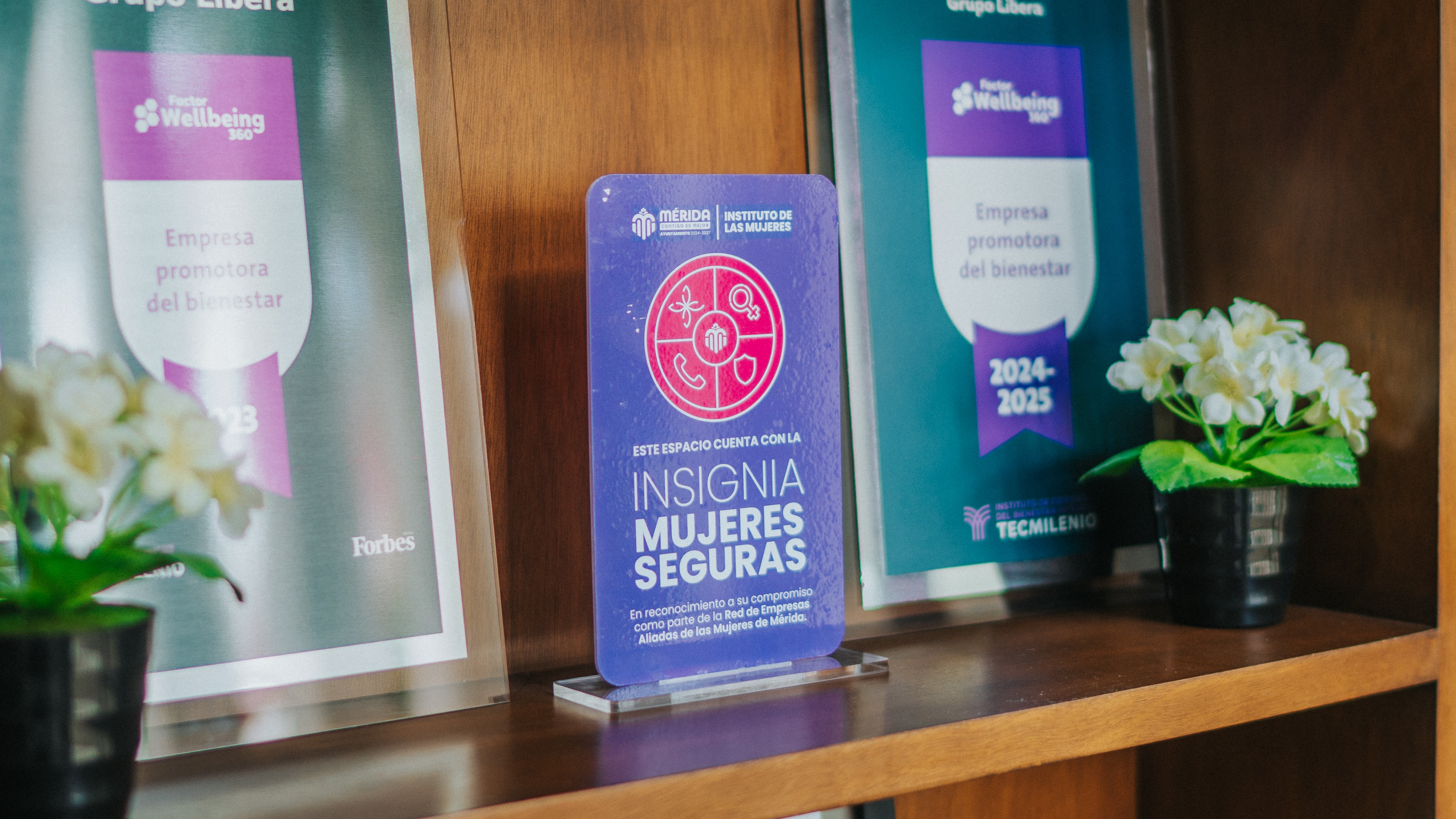 insignia mujeres seguras