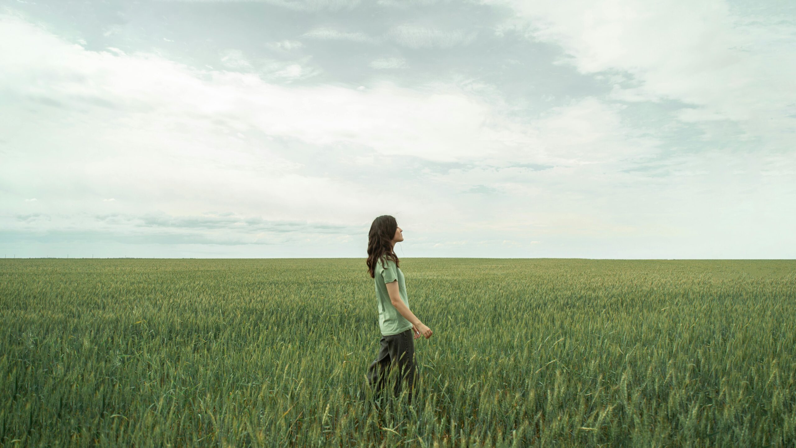 Cómo invertir en 2026