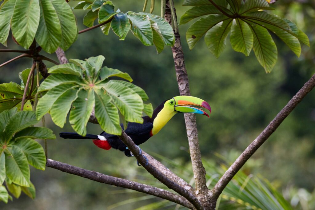 Tulum turismo sustentable