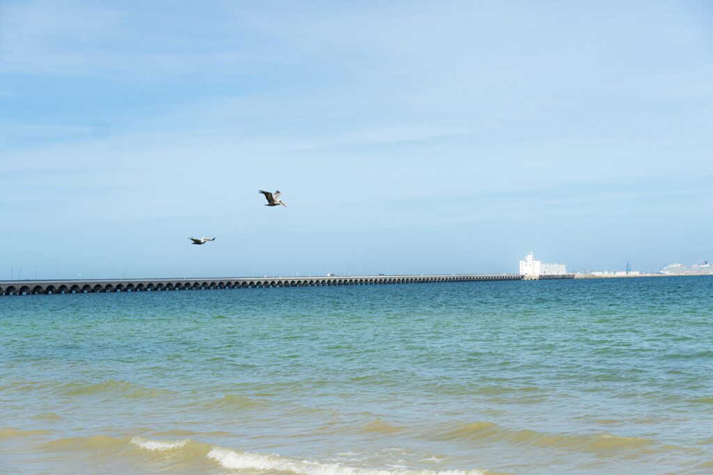 Vida plena en Yucatán