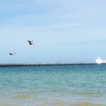 Turismo en Progreso Yucatán